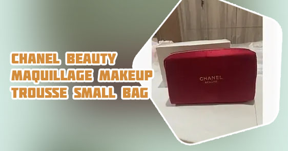 Chanel beauty pouch